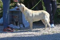 Georgina_281029.jpg