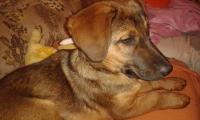 Hugo14_281129.jpg
