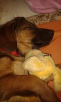 Hugo14_281329.jpg