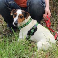 Jack6_28129.jpg