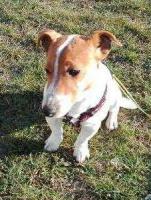 Jacky10_28129.jpg