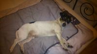 Jacky9_28529.jpg