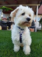 JerryLee_28529~0.JPG