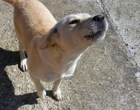Jessy15_28629.jpg