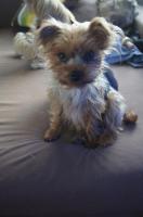 Kaidy_28729.jpg