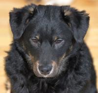 Lenny2_28229.JPG