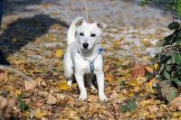 Libby2_281029.jpg