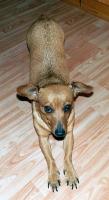 Lilly3_28129.JPG