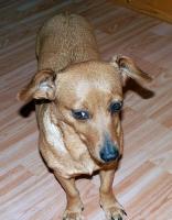 Lilly3_28329.JPG