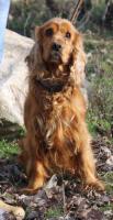 Lindy_28529.jpg