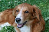 Lumy_28229.JPG