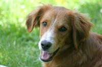 Lumy_28329.JPG