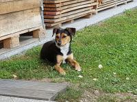 Lussy2_28429~0.jpg
