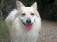 Maco4_281229.JPG