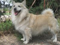 Maco4_28929.JPG