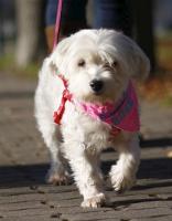 Maddy_28529.jpg