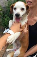 Maylo2_28729.jpg