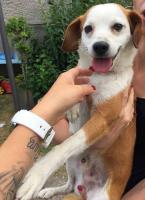 Maylo2_28829.jpg