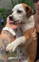 Maylo2_28929.jpg