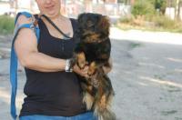 Mayly_281029.jpg