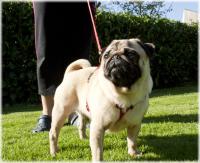 MrPepper_281029.jpg