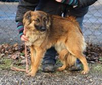Nora2_28429.jpg