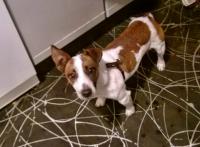 Nuggy_28229~0.jpg