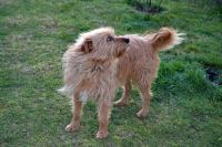 Risko8_28229.jpg
