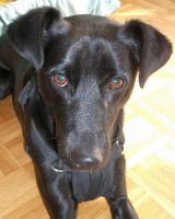 Rocky20_28129~0.jpg