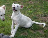 Roxy2_281029.jpg