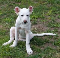 Roxy2_281129.jpg