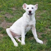 Roxy2_281229.jpg