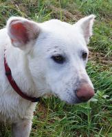 Roxy2_28129.JPG