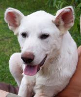 Roxy2_28129.jpg
