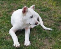 Roxy2_281329.jpg