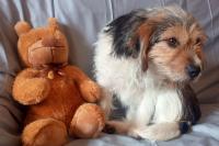 Roxy6_28229.jpg