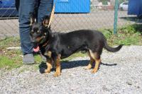 Scubo_28329.jpg
