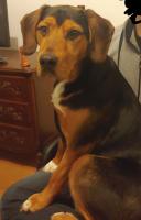 Shaggy4_28529.jpg