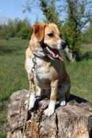 Tessie_28329.jpg