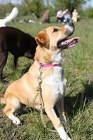 Tessie_28629.jpg