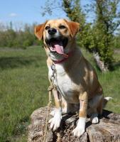 Tessie_28829.jpg