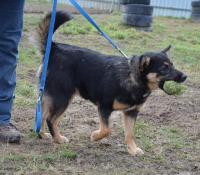 Tina15_28429.jpg