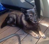 Wilma2_28129.JPG