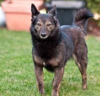 Wilma2_28129.jpg