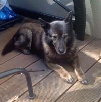 Wilma2_28229.JPG