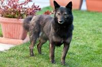 Wilma2_28229.jpg