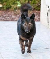 Wilma2_28329.jpg