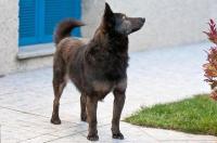 Wilma2_28729.jpg