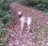 20141104_082241.jpg