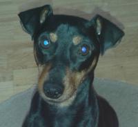 20151023_145840_-_Kopie.jpg
